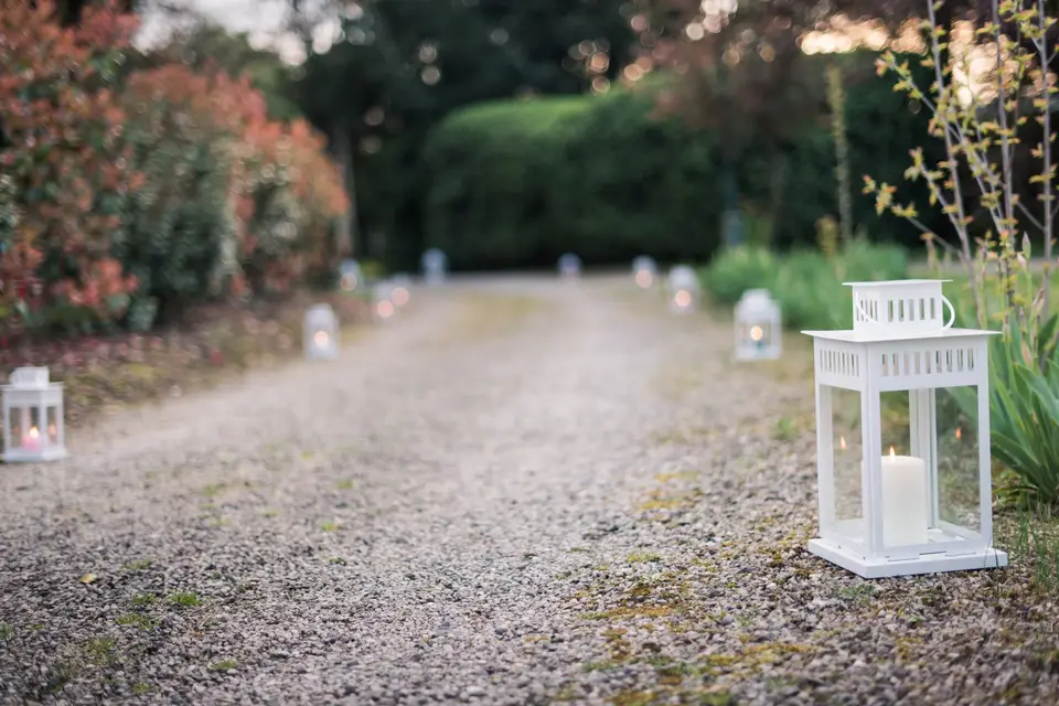 Domaine des Cèdres — photo 5