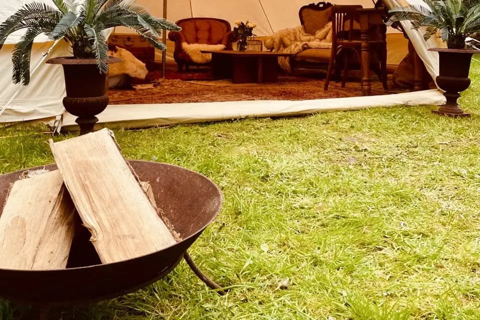 Ty Loc' Event — photo 8