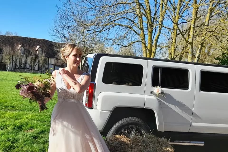 FG Limousine — photo 3