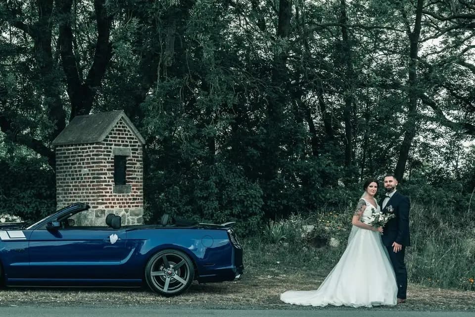 Mustang Attitude — photo 7