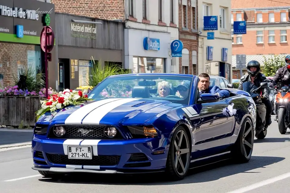 Mustang Attitude — photo 2