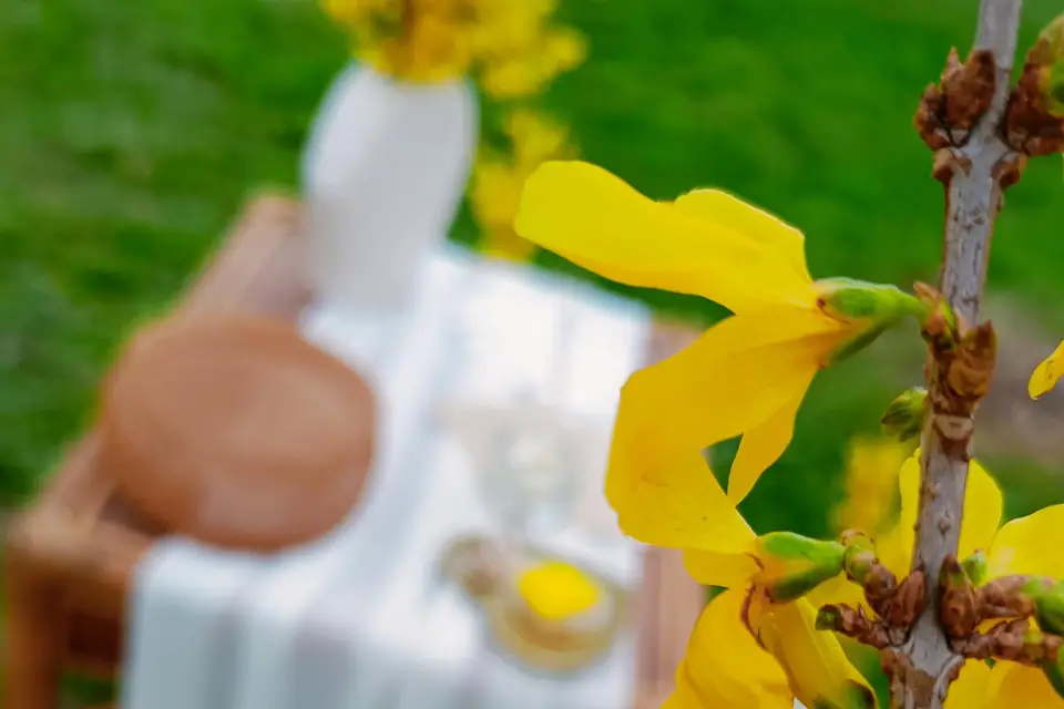 Carine Event — photo 7