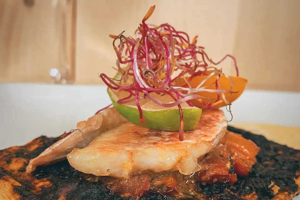 Les Petits Curieux — photo 6