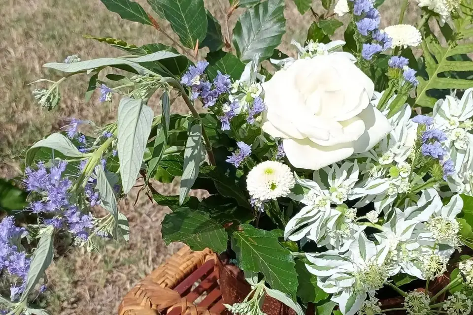 Carine Event — photo 5