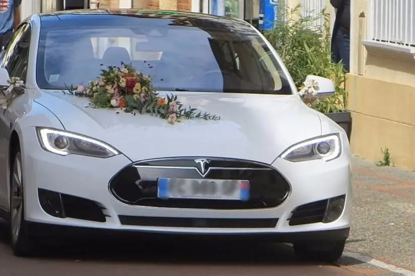 Blooweels — photo 6