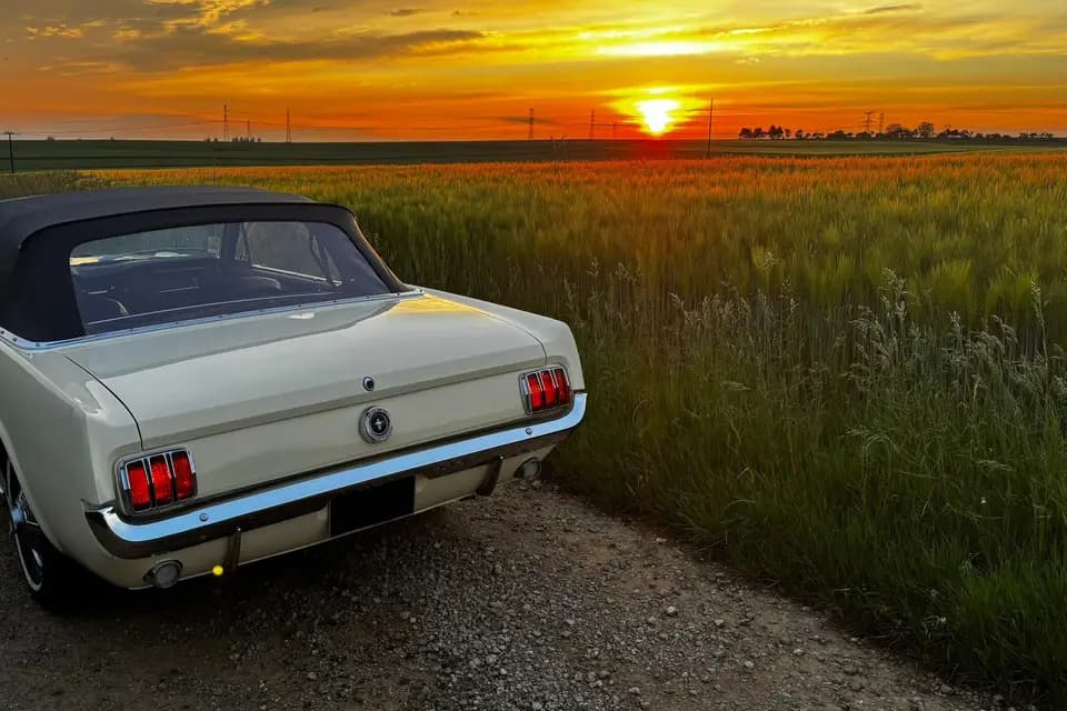 WCL Mustang Cabriolet — photo 3
