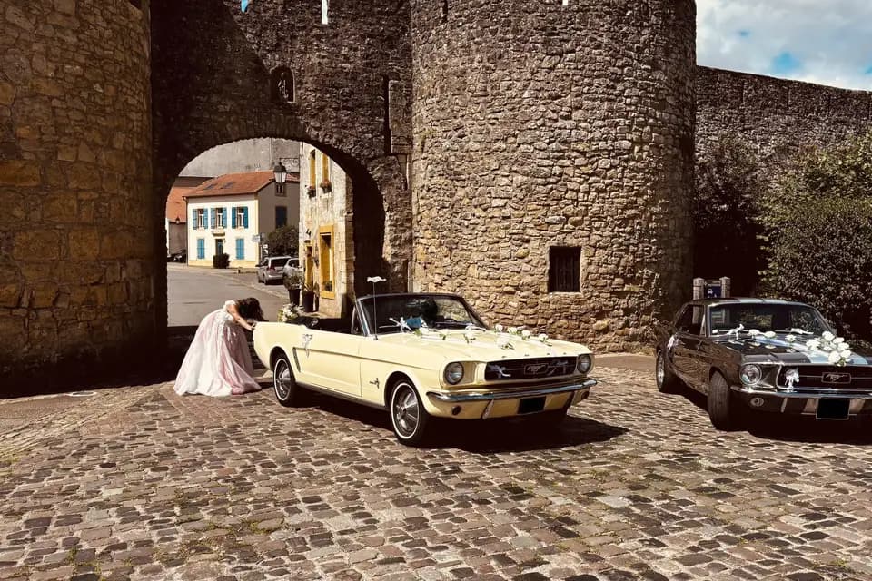 WCL Mustang Cabriolet — photo 8