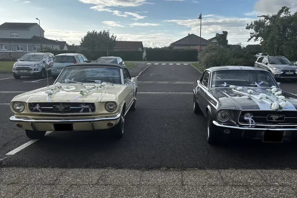 WCL Mustang Cabriolet — photo 2