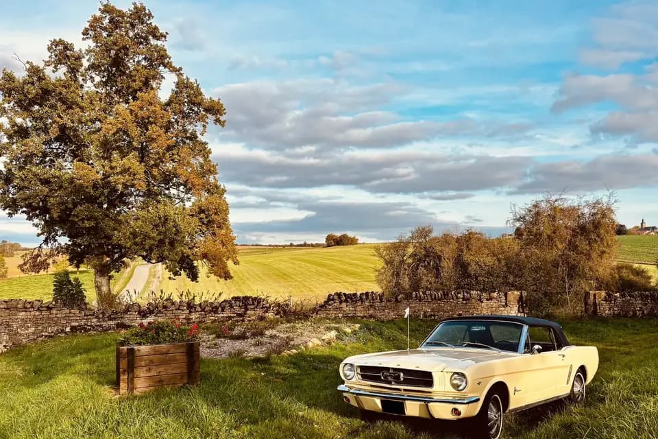 WCL Mustang Cabriolet — photo 1