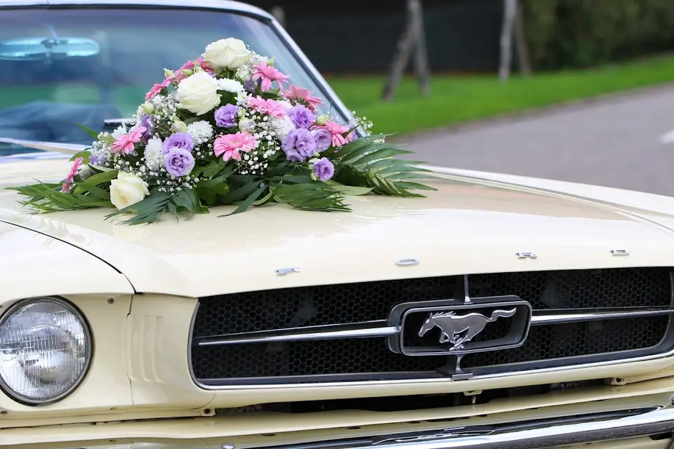 WCL Mustang Cabriolet