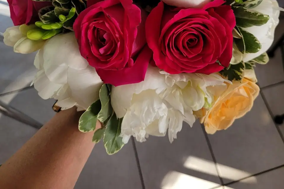 Shining Memories — photo 5