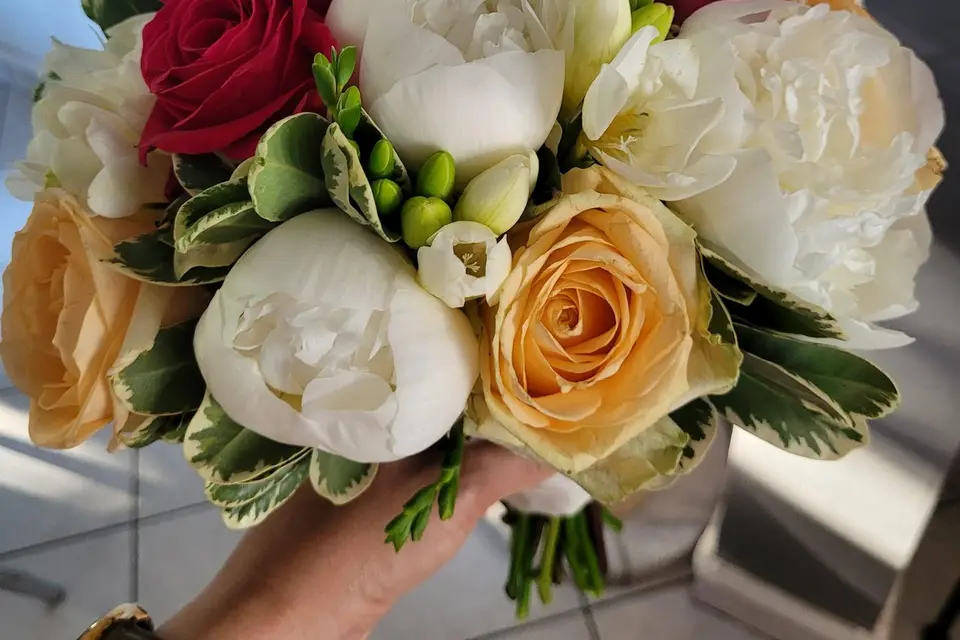 Shining Memories — photo 8