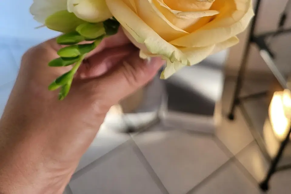 Shining Memories — photo 6