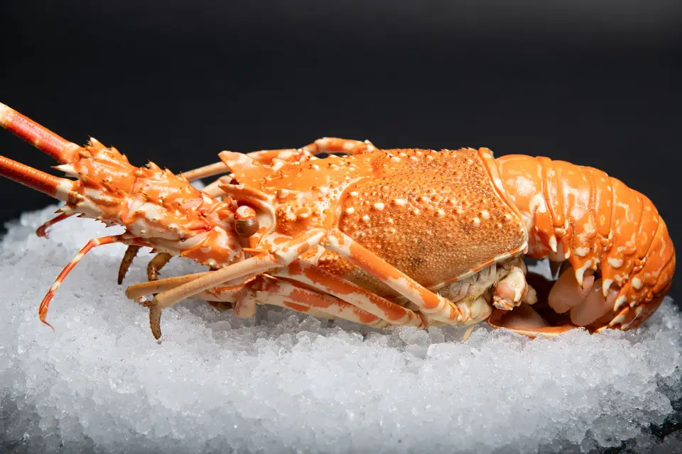 Cuisine et Mer — photo 4