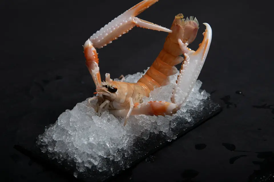 Cuisine et Mer — photo 5