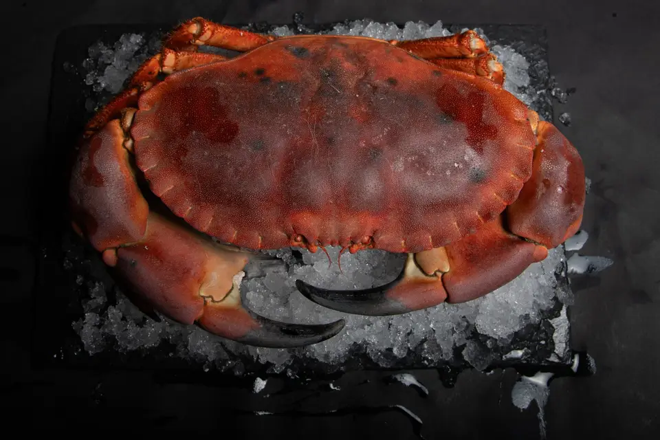 Cuisine et Mer — photo 1