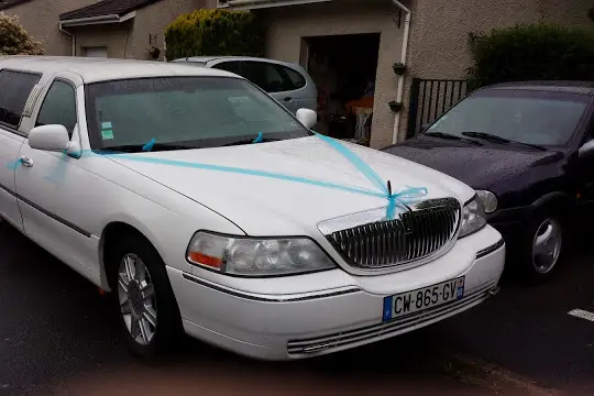 Kris Drive Limousine — photo 1