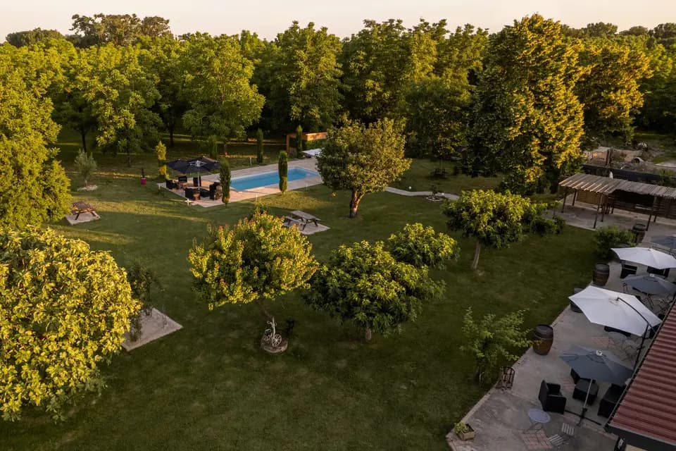 Domaine des Oliviers — photo 4