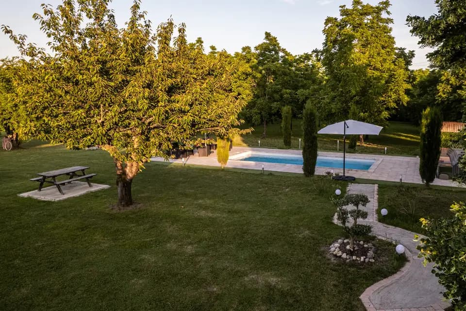 Domaine des Oliviers — photo 5