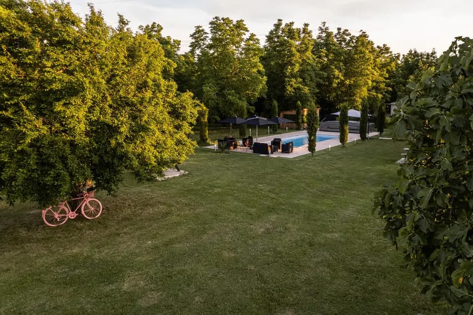 Domaine des Oliviers — photo 7