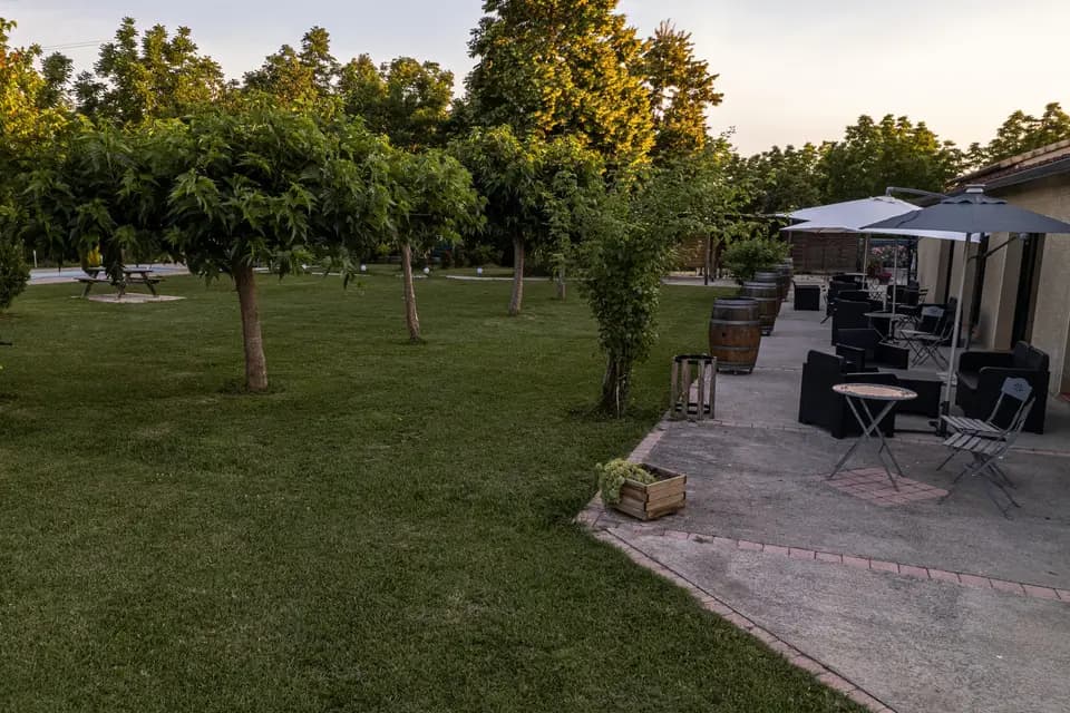 Domaine des Oliviers — photo 6