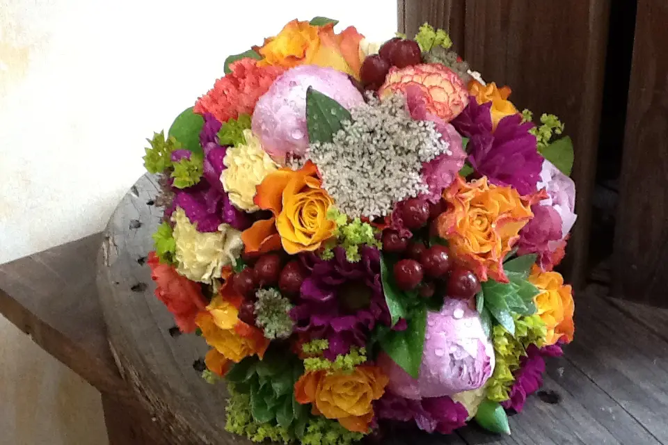 Coton et Coquelicot — photo 3