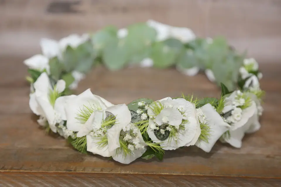 Coton et Coquelicot — photo 6