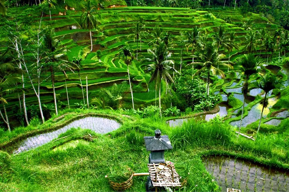 Planmytrip — photo 5