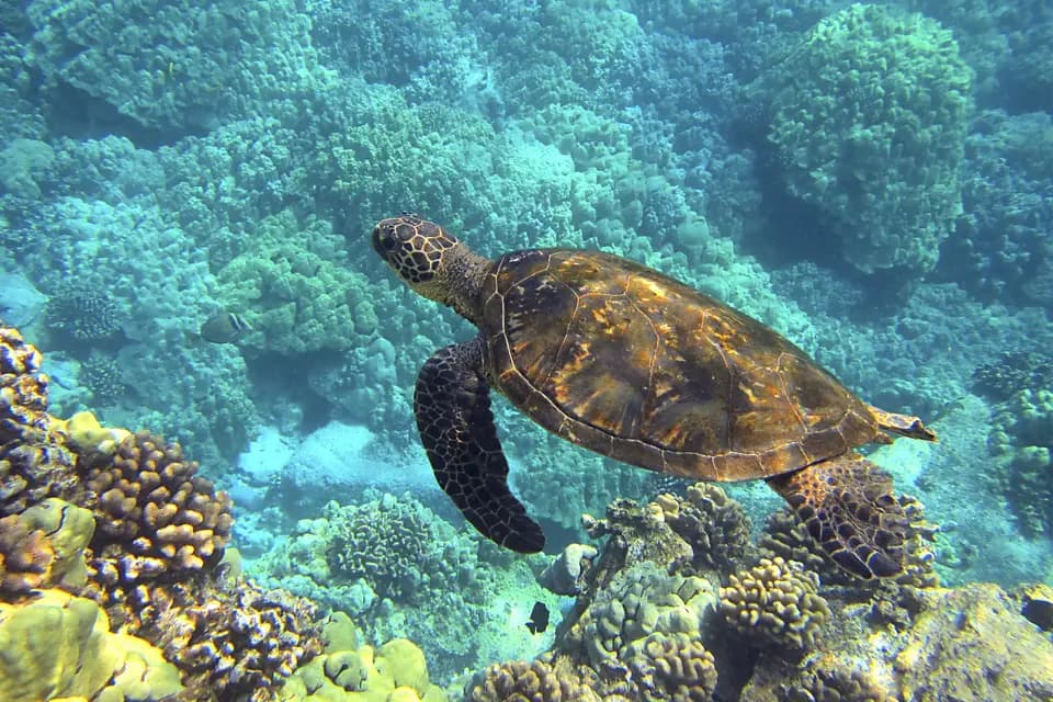 Planmytrip — photo 6