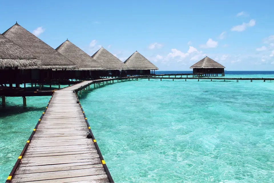 Planmytrip — photo 2