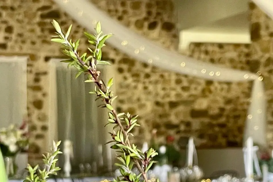 Grands Gites de la Charnie — photo 3