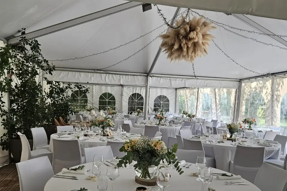 Sibel Events — photo 2