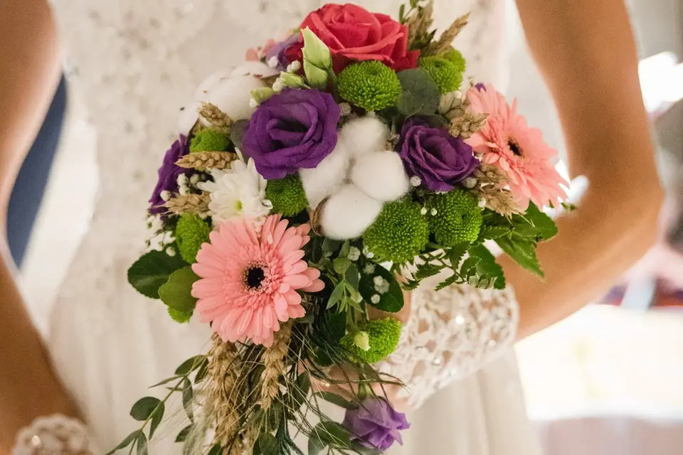 Esprit Wild — photo 5