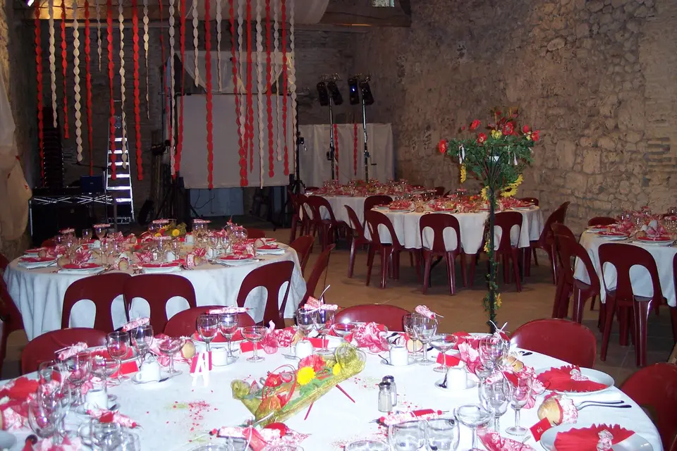 Château d'Aon — photo 1