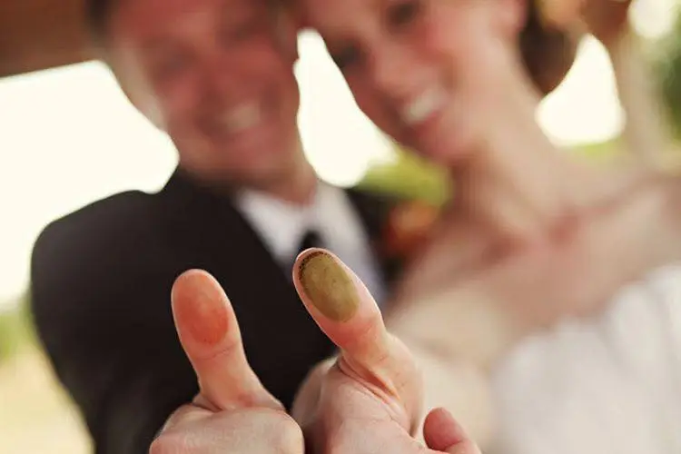 L'Arbre à Empreintes — photo 2