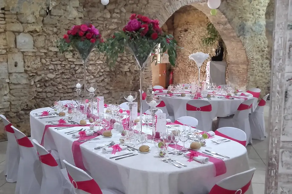 Château d'Aon — photo 7