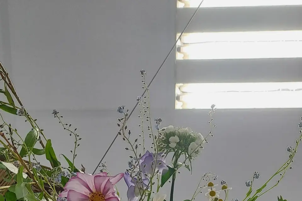 Douces compagnies — photo 4