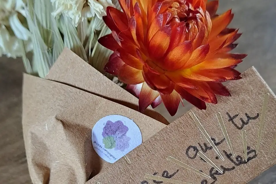 Douces compagnies — photo 6