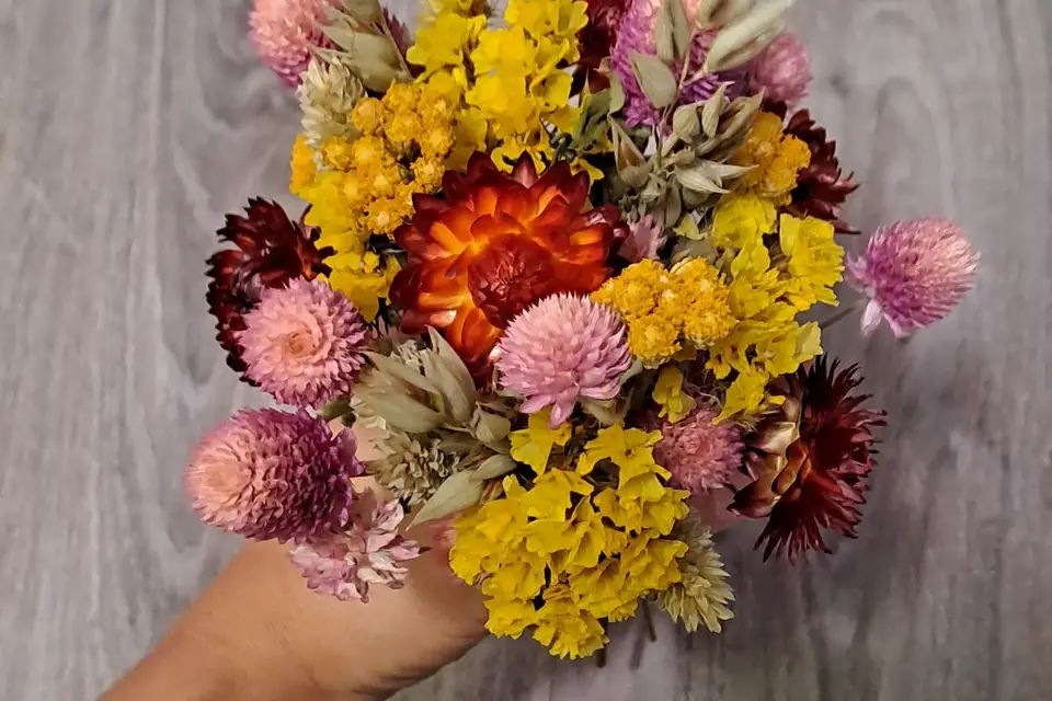 Douces compagnies — photo 8