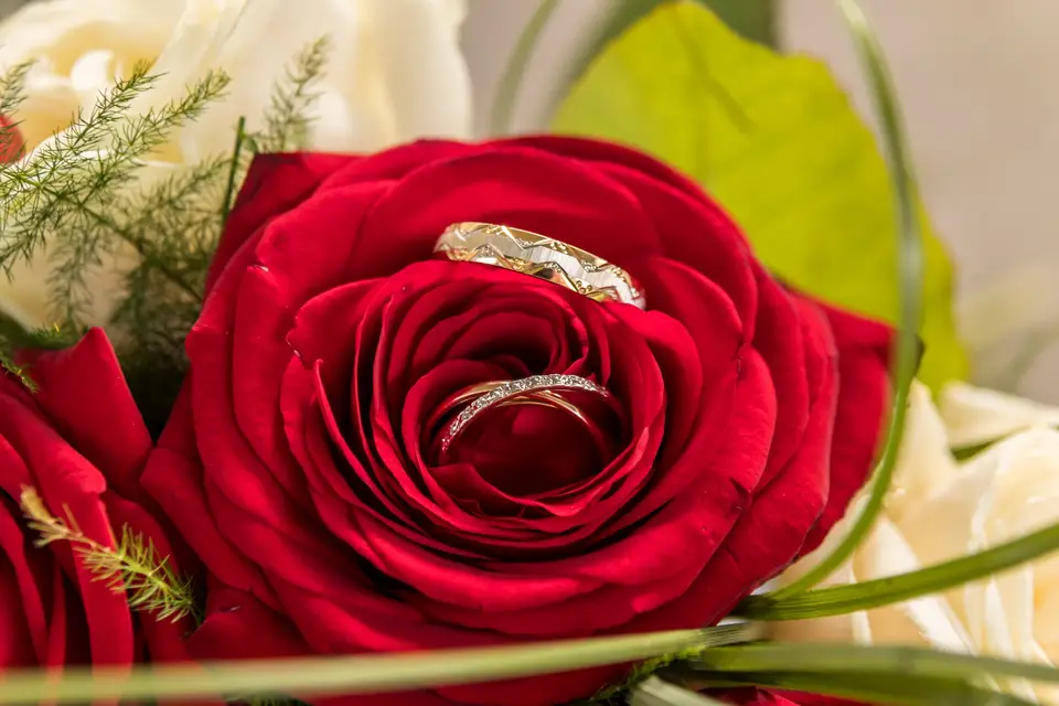 Regard de Ch’ti — photo 3