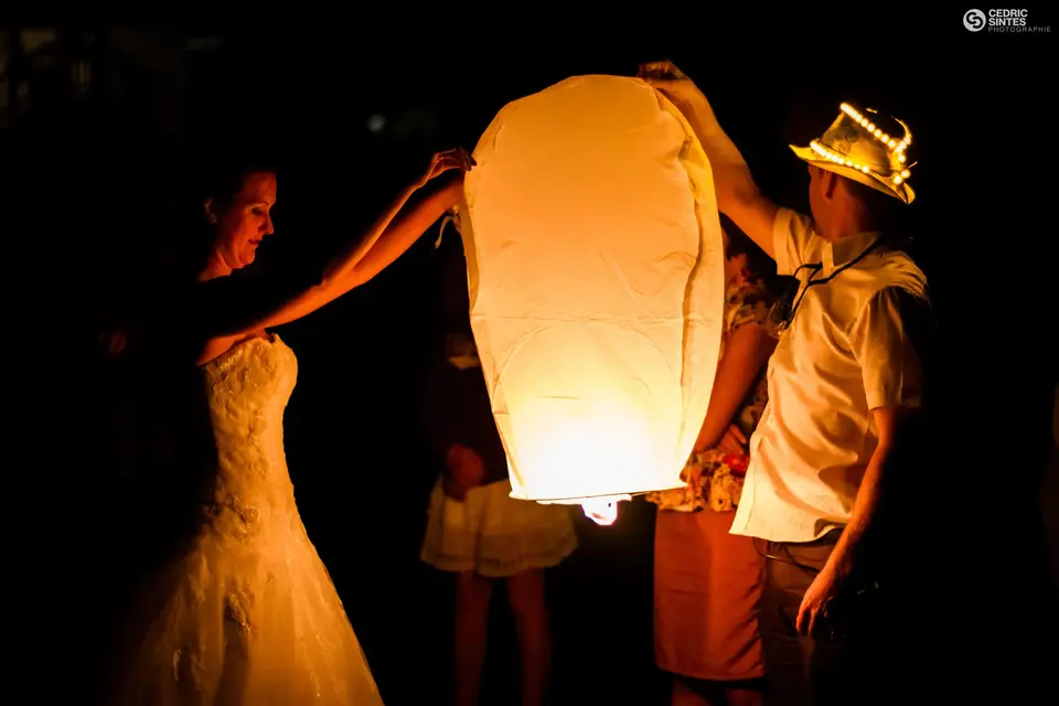 Animusik — photo 3