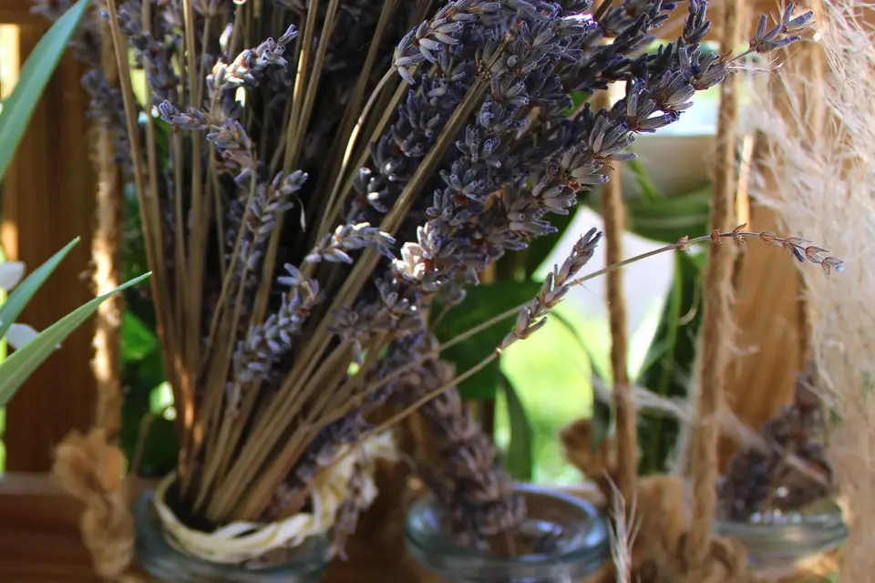 Une Histoire 2 Coeur — photo 1