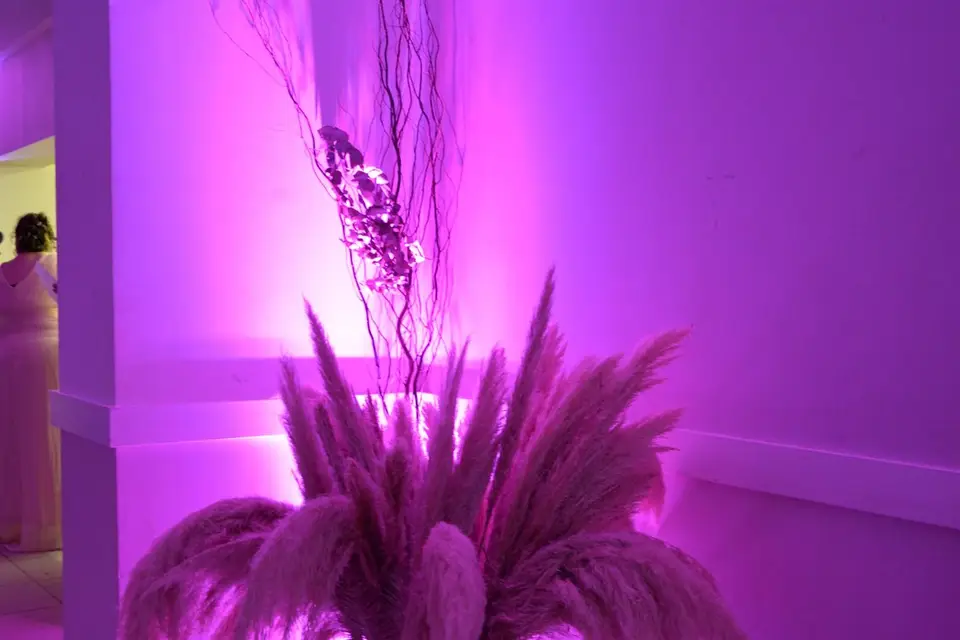 CrazyMusic — photo 8