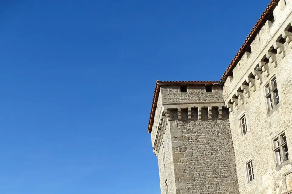 Chateau de Chalmazel — photo 6