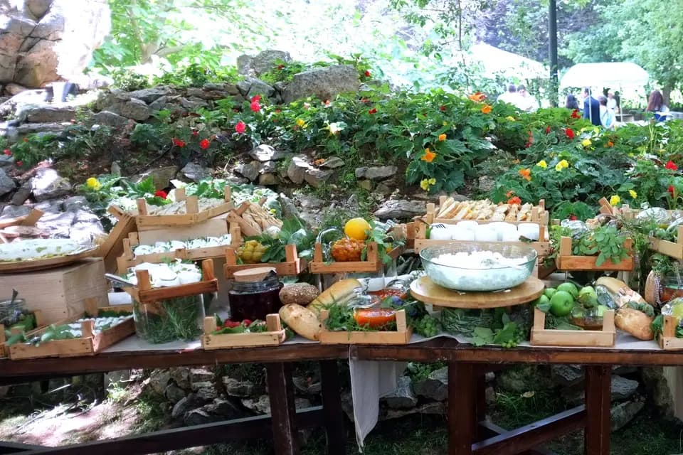 Ô fil des Cèdres — photo 1