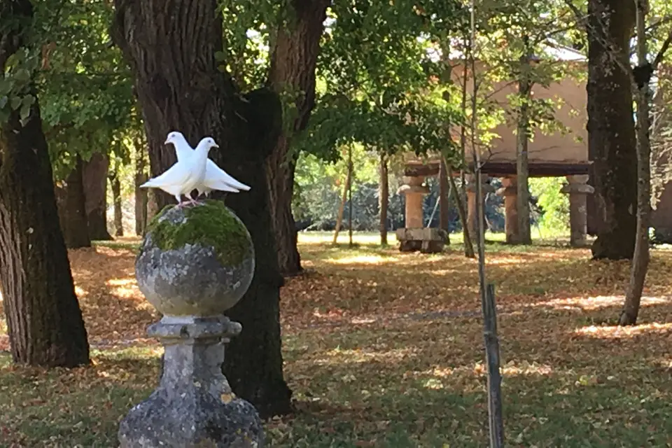 Château de Guitalens — photo 8