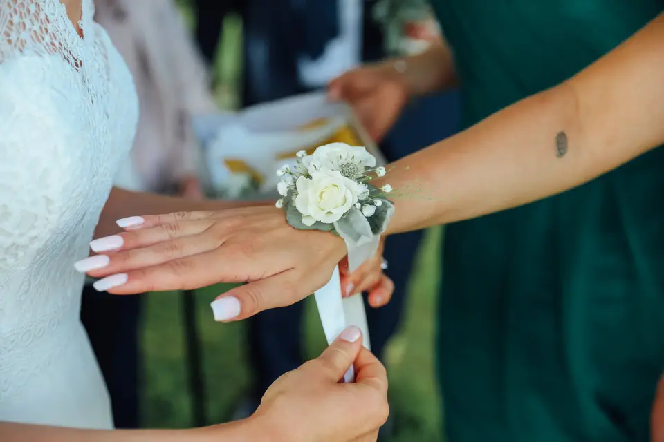 Trifolium — photo 2