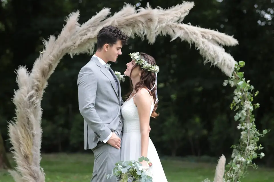 Trifolium — photo 7