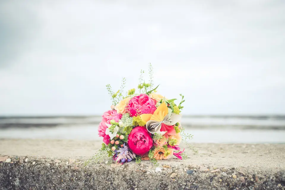 Karine Bernard Photographie — photo 2