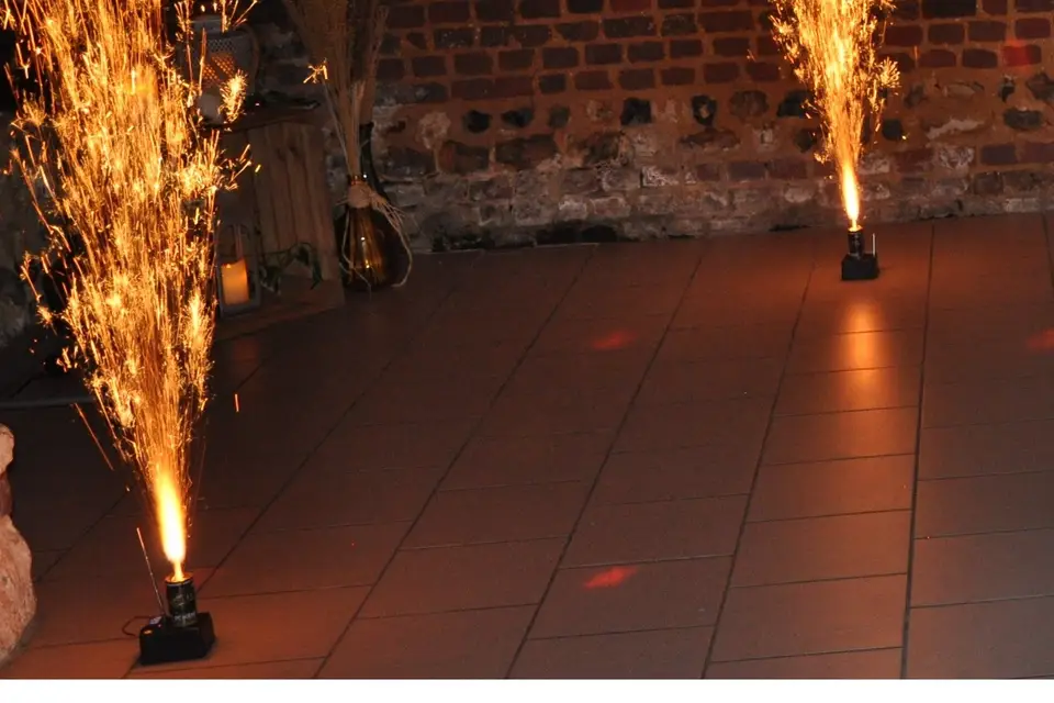 Gentleman Animateur Disc Jockey — photo 7